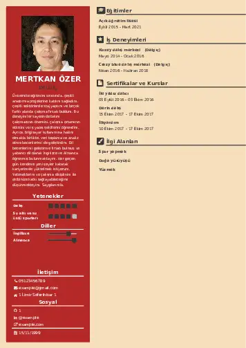 Dalgıç CV Örnekleri cv indir